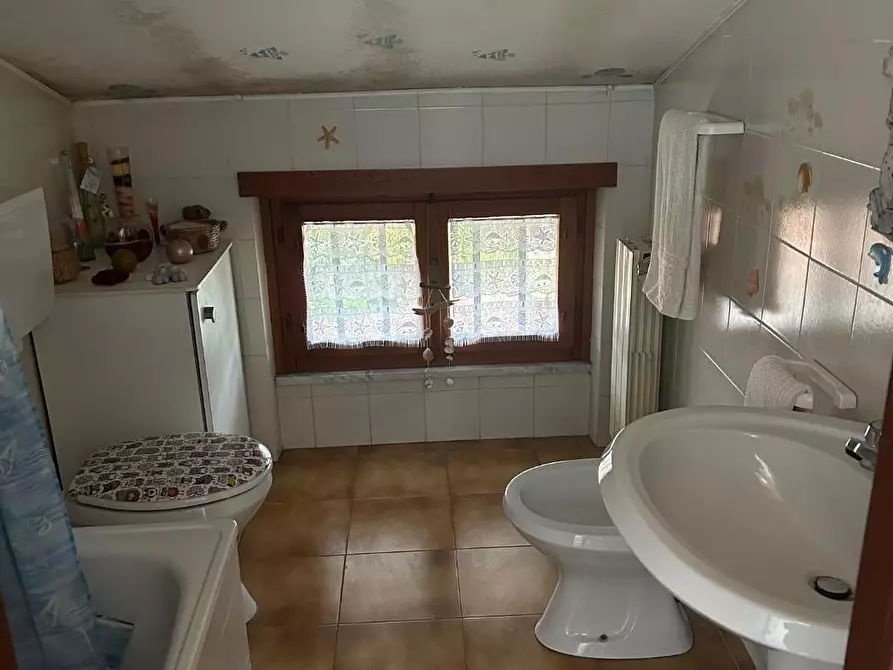 Immagine 15 di Terratetto in affitto  a Carrara