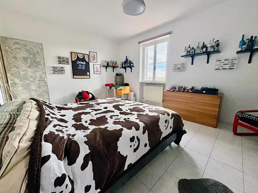 Immagine 12 di Terratetto in vendita  a Vecchiano