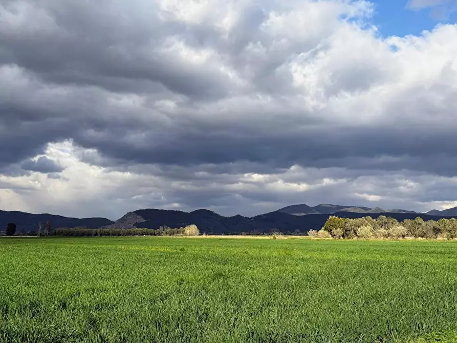 Immagine 23 di Terratetto in vendita  a Vecchiano