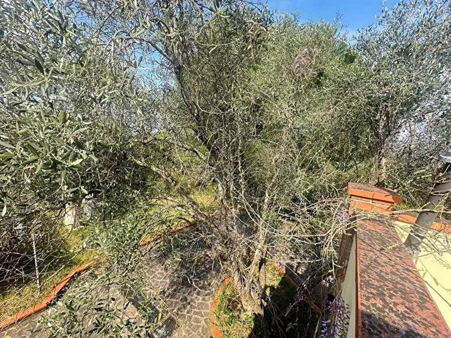 Immagine 21 di Villa in vendita  a Larciano