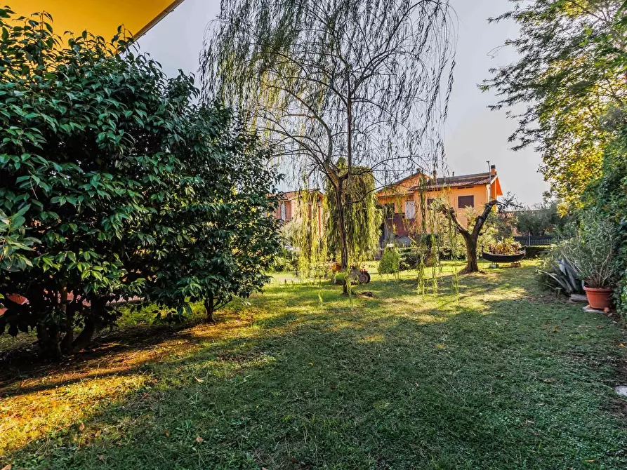 Immagine 42 di Casa indipendente in vendita  a Pescia