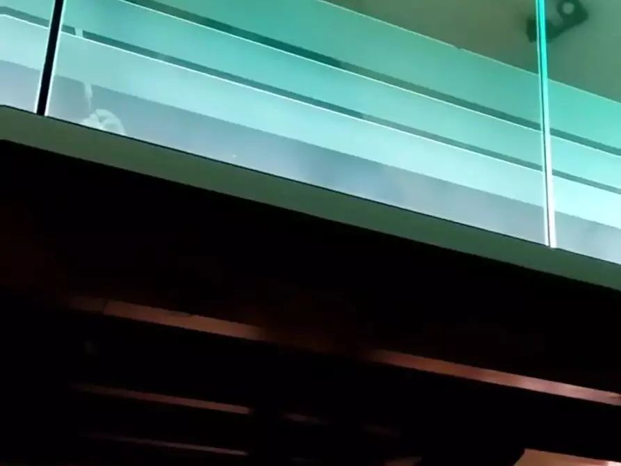 Immagine 4 di Attività commerciale in vendita  a Lequile