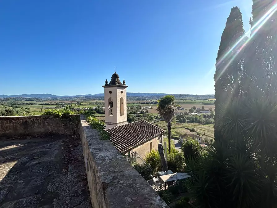 Immagine 3 di Appartamento in vendita  a Palaia