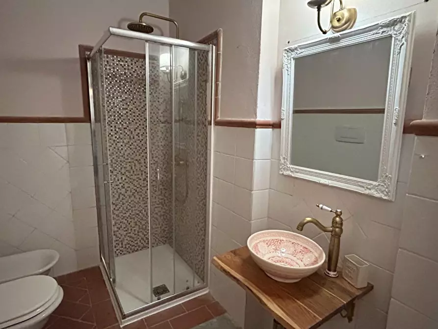 Immagine 9 di Appartamento in vendita  a Palaia