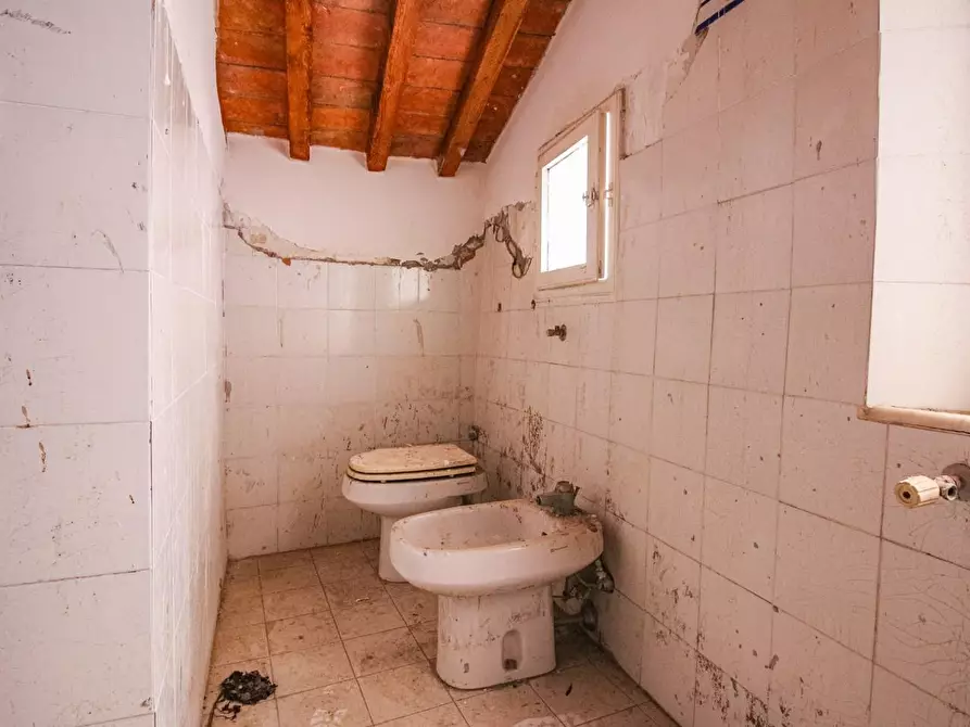 Immagine 38 di Appartamento in vendita  a Pisa