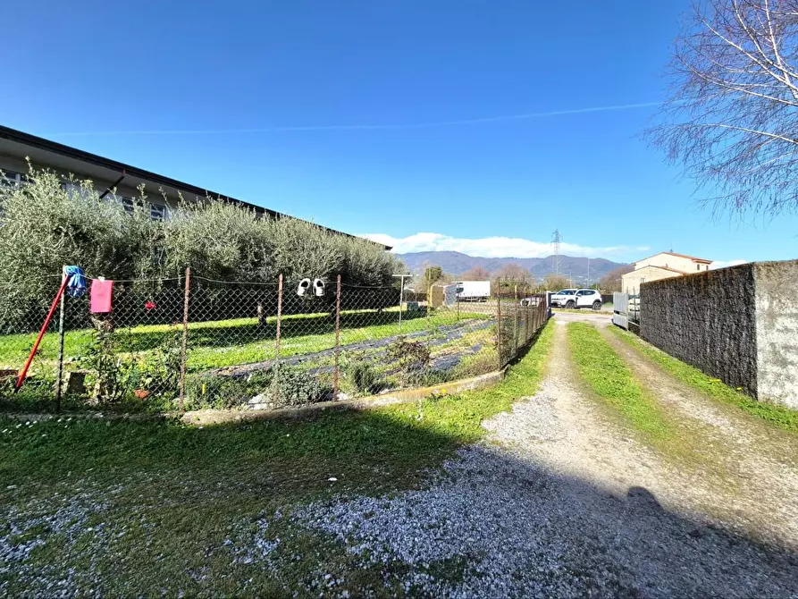 Immagine 3 di Terratetto in vendita  a Capannori