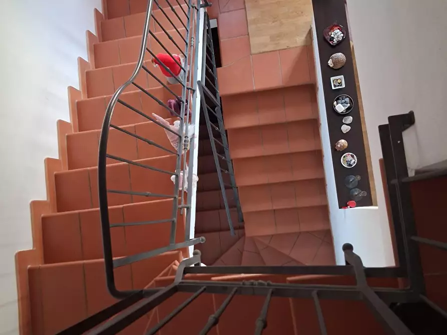 Immagine 13 di Terratetto in vendita  a Livorno