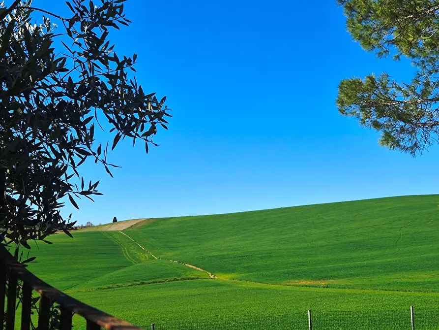 Immagine 1 di Casa semindipendente in vendita  a Monteroni D'arbia