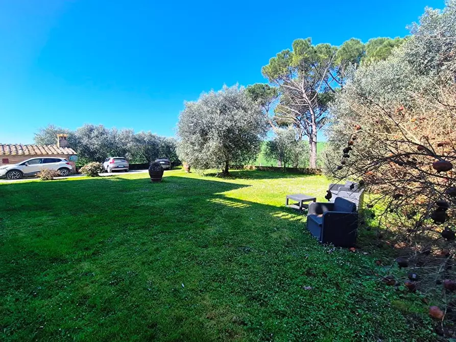 Immagine 20 di Casa semindipendente in vendita  a Monteroni D'arbia
