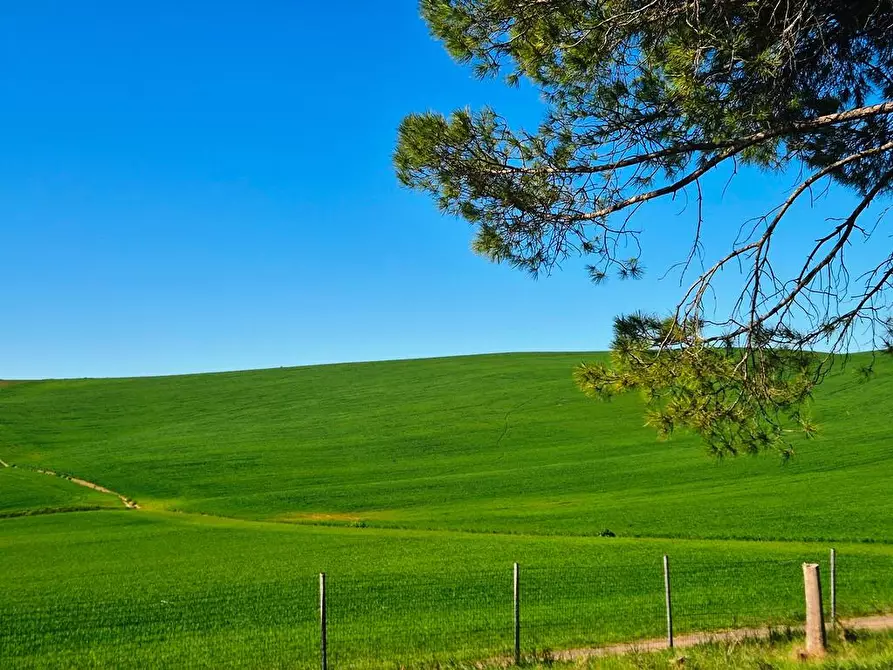 Immagine 3 di Casa semindipendente in vendita  a Monteroni D'arbia