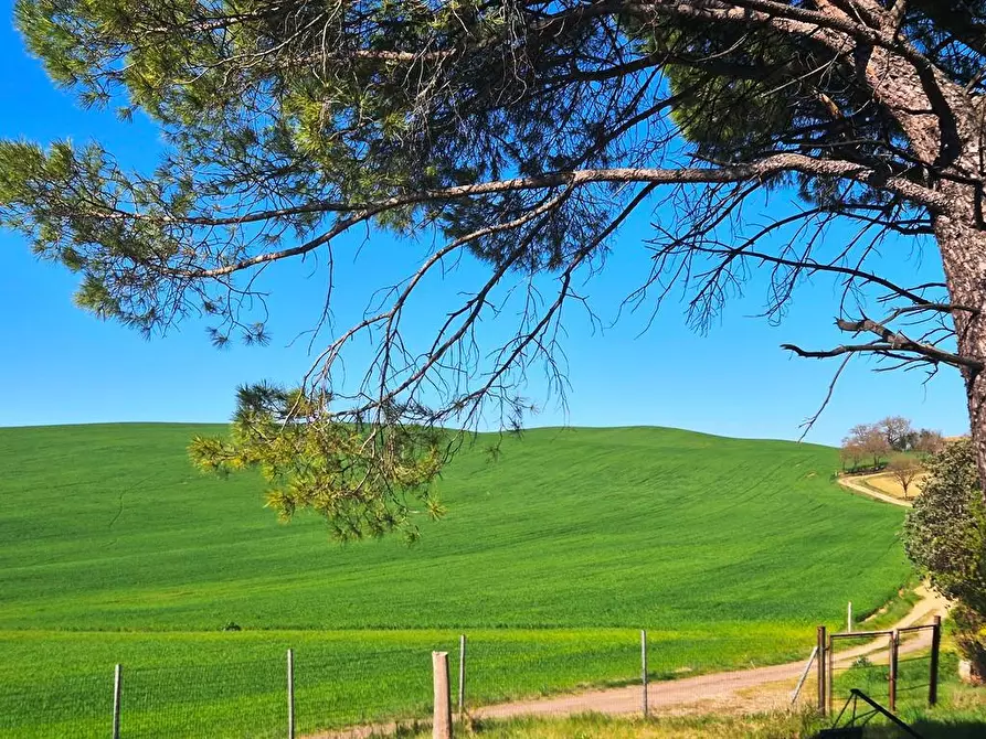 Immagine 21 di Casa semindipendente in vendita  a Monteroni D'arbia