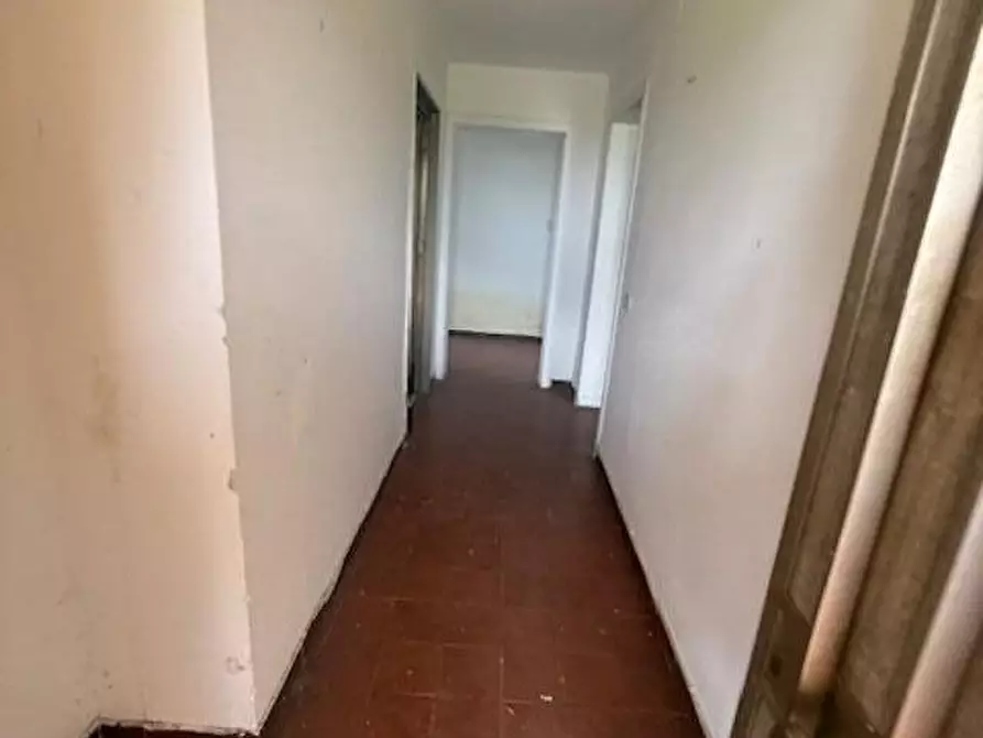 Immagine 4 di Rustico / casale in vendita  a Pisa