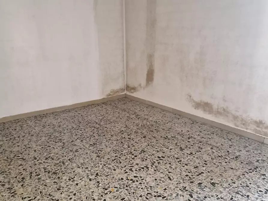 Immagine 4 di Casa indipendente in vendita  a Pisa