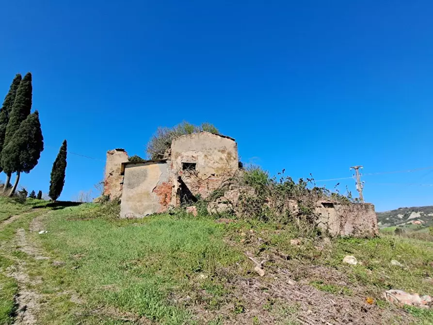 Immagine 2 di Casa colonica in vendita  a Peccioli