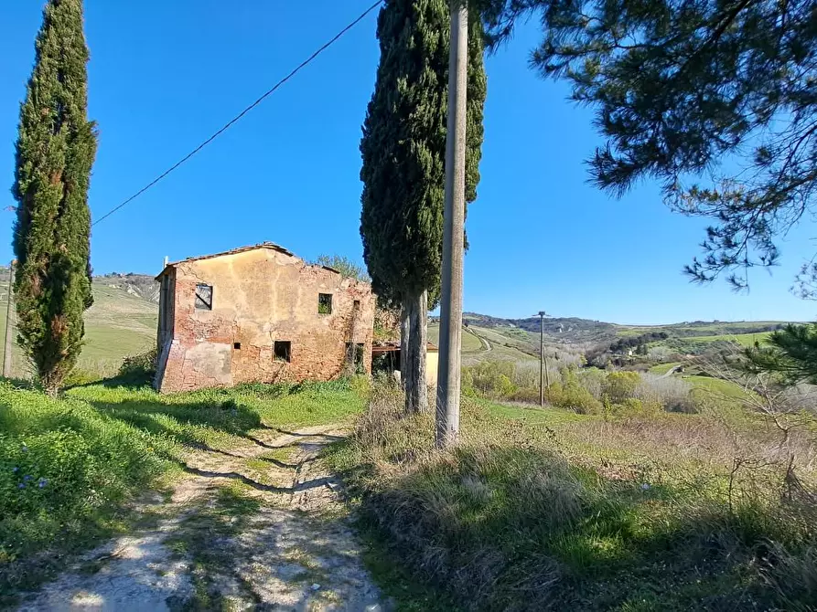Immagine 4 di Casa colonica in vendita  a Peccioli