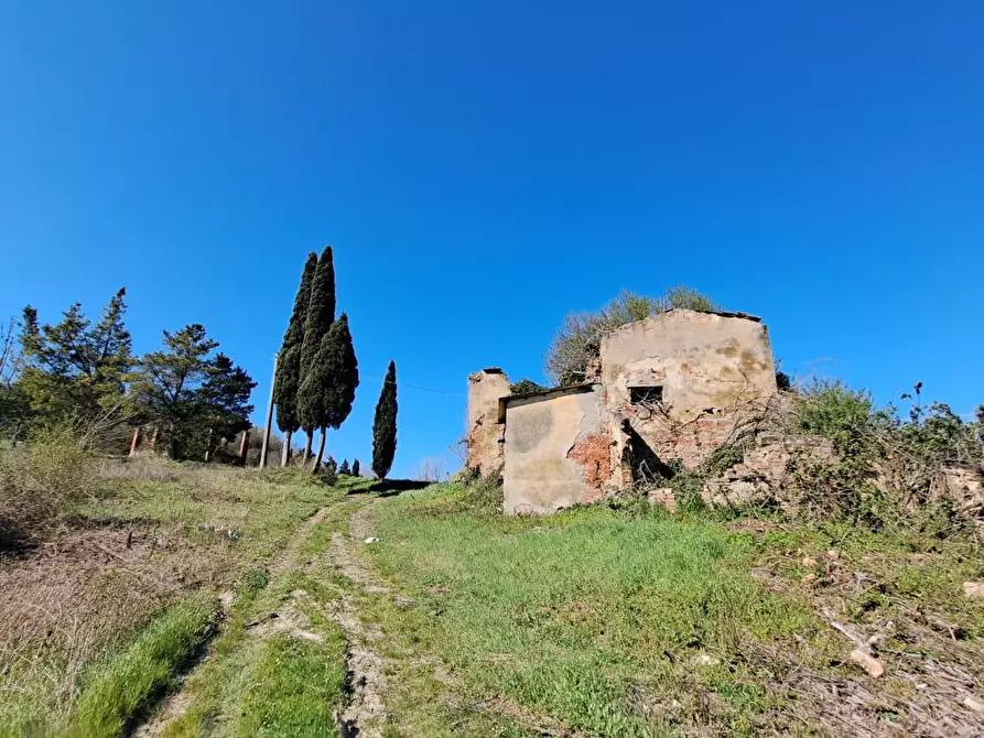 Immagine 1 di Casa colonica in vendita  a Peccioli