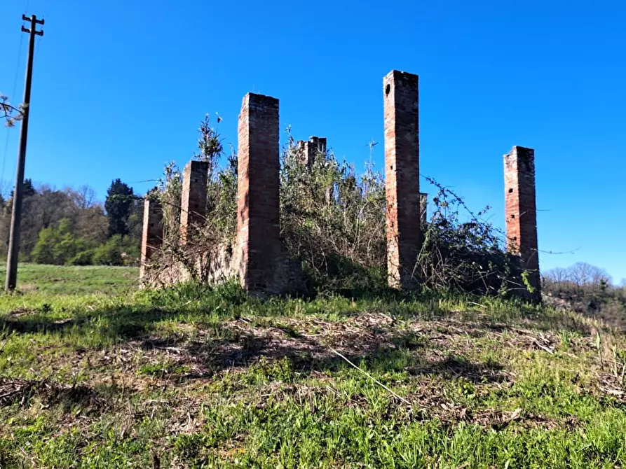 Immagine 6 di Casa colonica in vendita  a Peccioli
