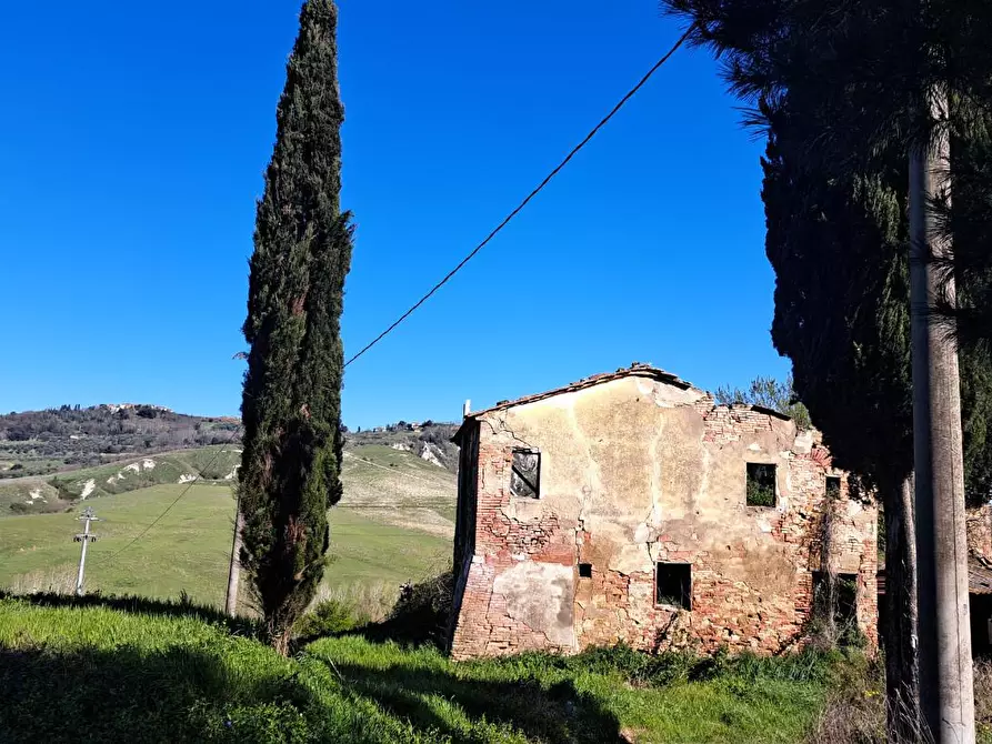 Immagine 5 di Casa colonica in vendita  a Peccioli