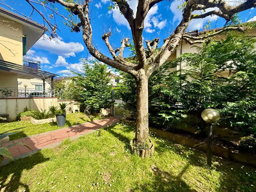 Immagine 2 di Villetta a schiera in vendita  a Massa