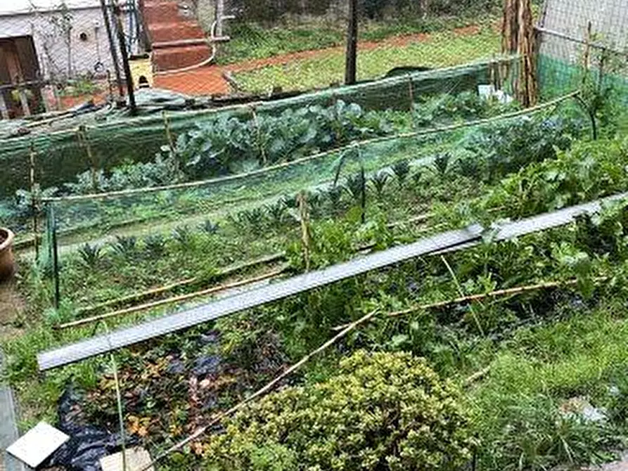 Immagine 10 di Appartamento in vendita  a Castelnuovo Magra