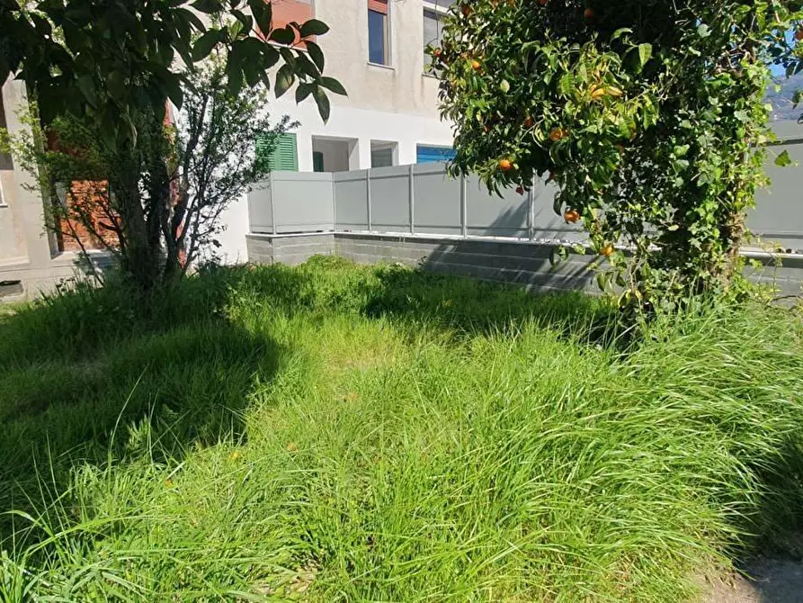 Immagine 5 di Appartamento in vendita  a Massa