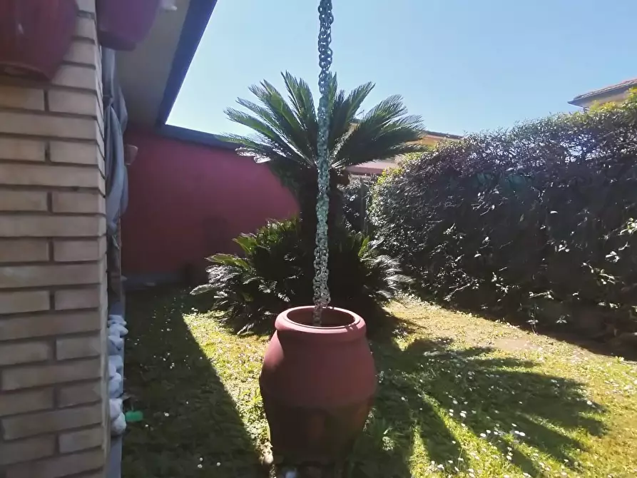 Immagine 6 di Casa bifamiliare in affitto  a Massa