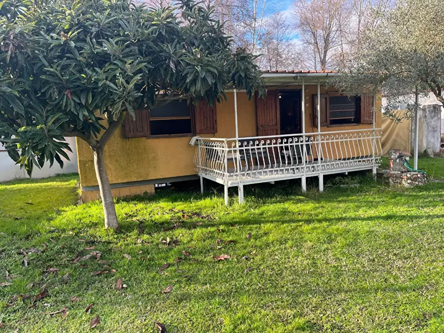 Immagine 3 di Casa indipendente in vendita  a Montignoso