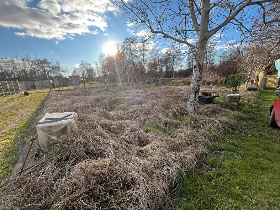 Immagine 5 di Casa indipendente in vendita  a Montignoso