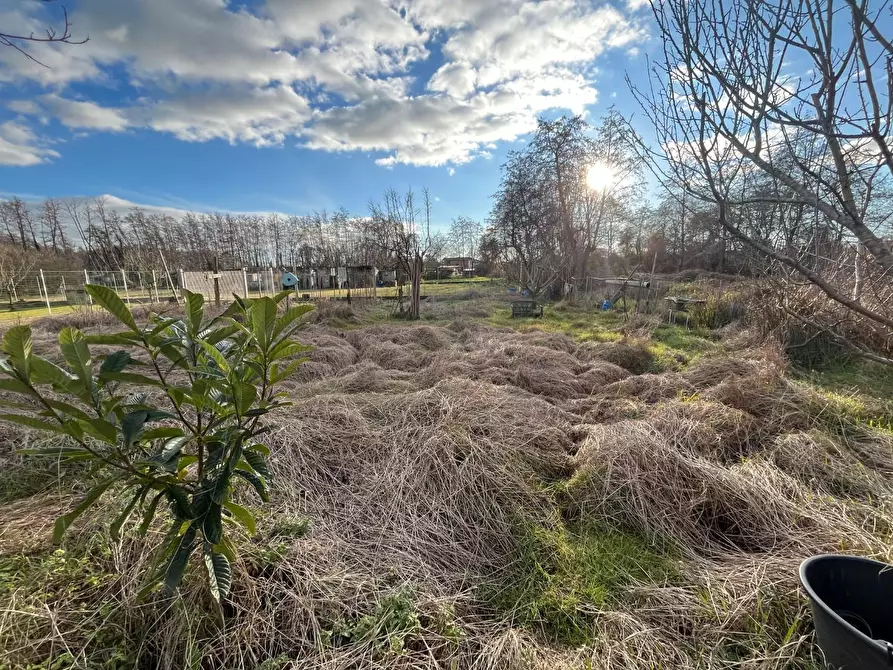 Immagine 6 di Casa indipendente in vendita  a Montignoso