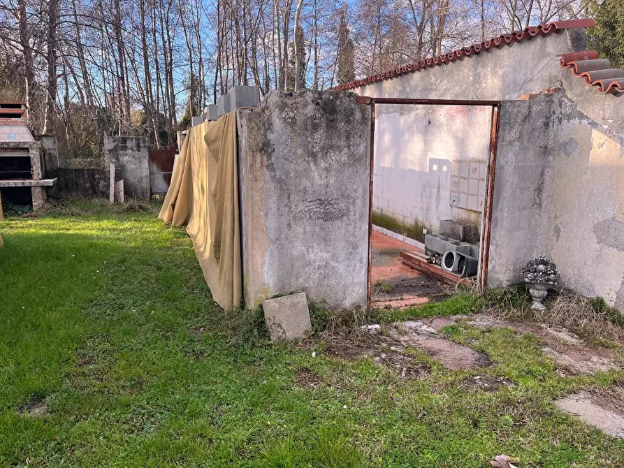 Immagine 4 di Casa indipendente in vendita  a Montignoso