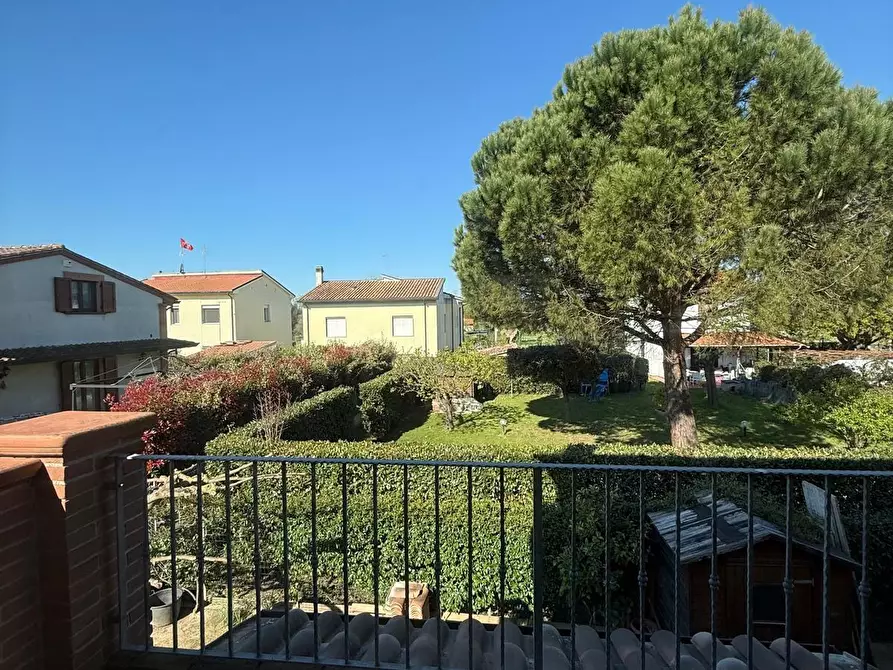 Immagine 7 di Appartamento in affitto  a Pisa