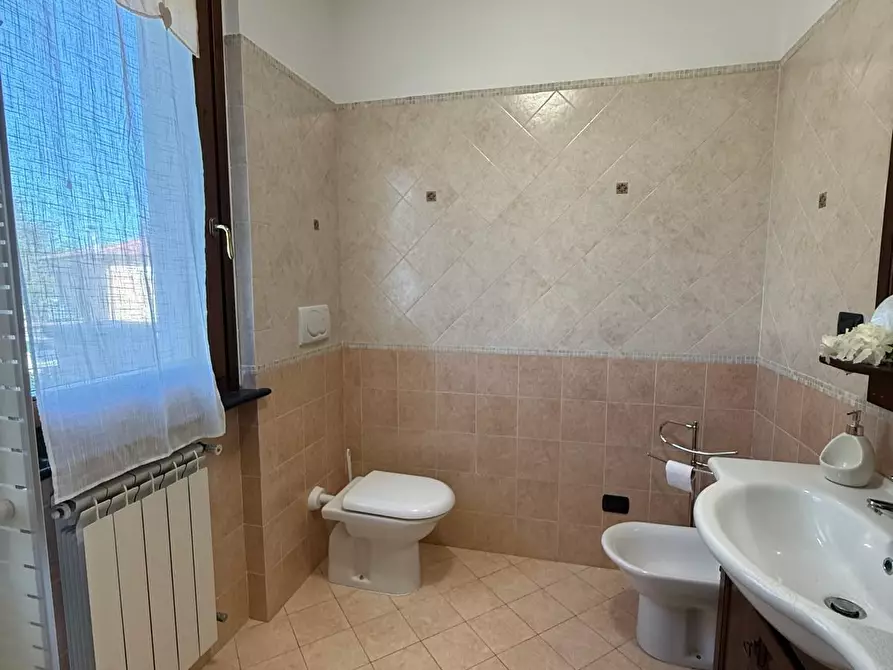 Immagine 9 di Appartamento in affitto  a Pisa