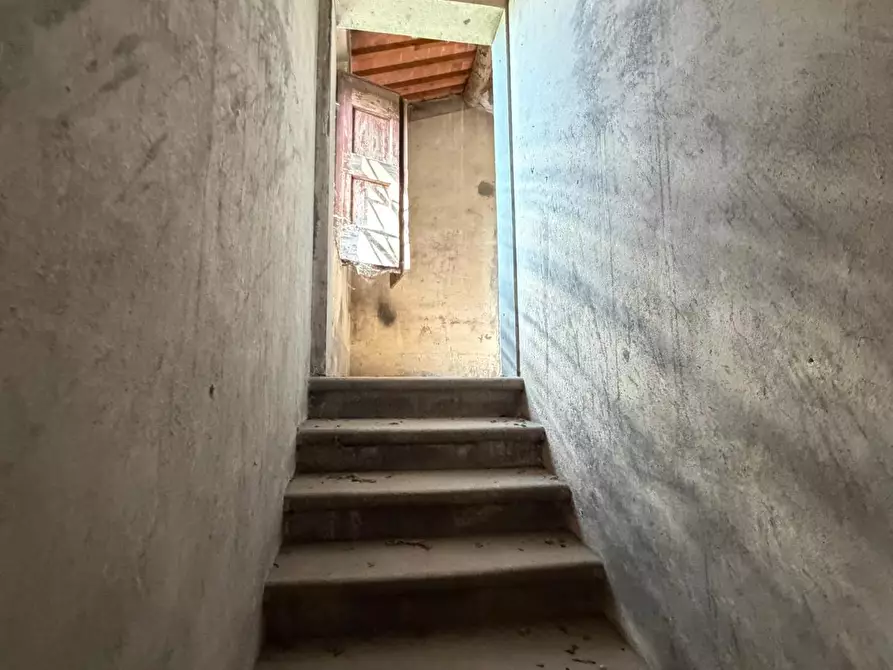 Immagine 14 di Casa colonica in vendita  a Cerreto Guidi