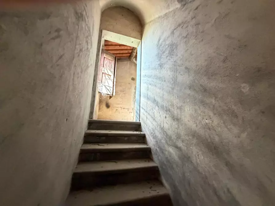 Immagine 15 di Casa colonica in vendita  a Cerreto Guidi
