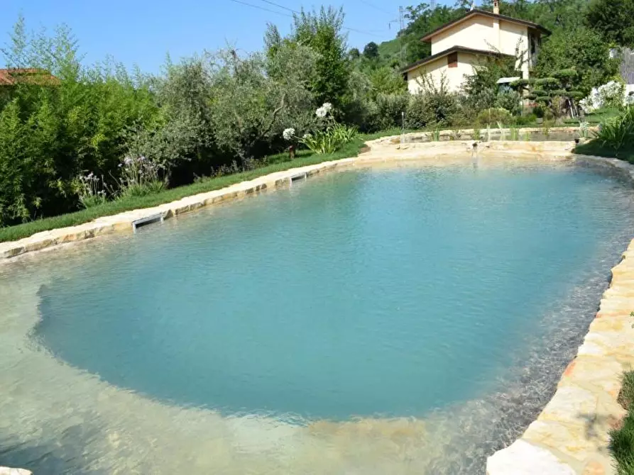 Immagine 5 di Villa in vendita  a Massa