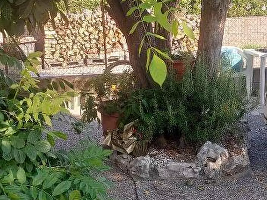 Immagine 2 di Appartamento in vendita  a Vecchiano