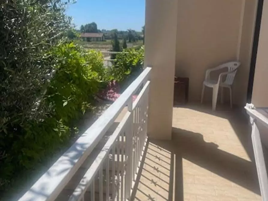 Immagine 15 di Appartamento in vendita  a Vecchiano