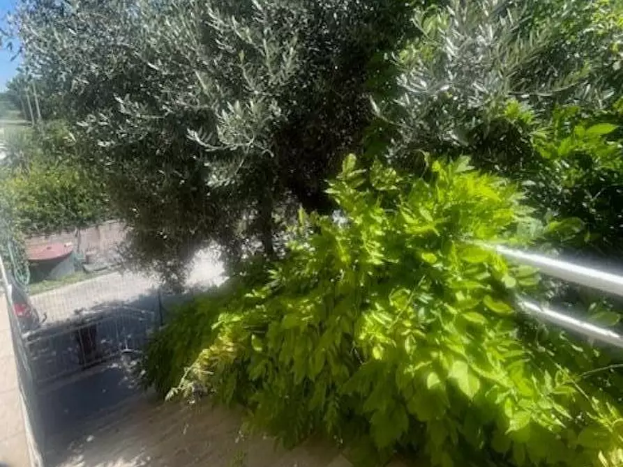 Immagine 16 di Appartamento in vendita  a Vecchiano