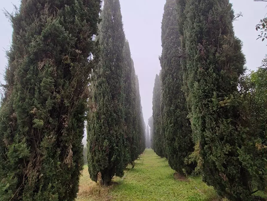 Immagine 25 di Rustico / casale in vendita  a Siena