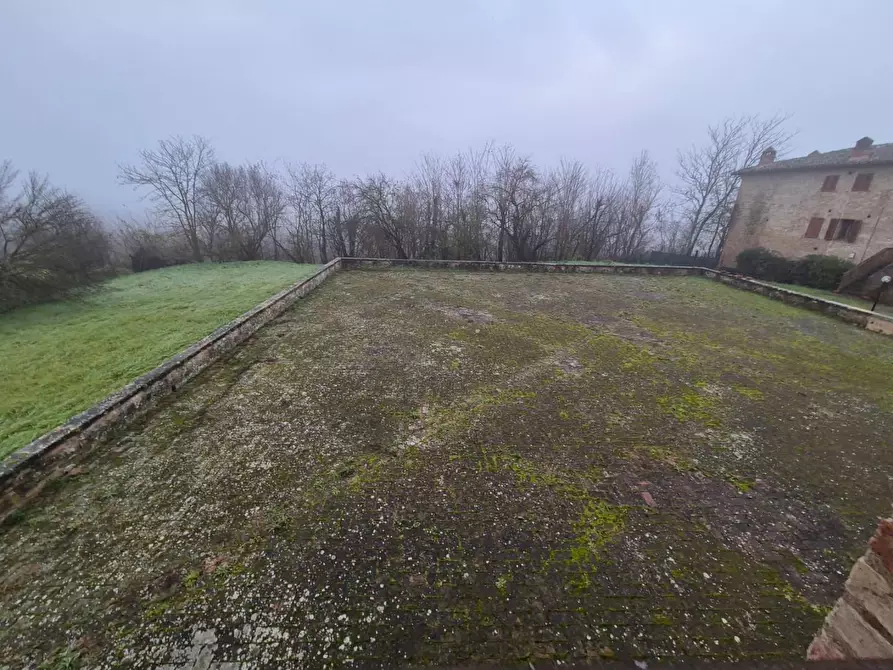 Immagine 33 di Rustico / casale in vendita  a Siena