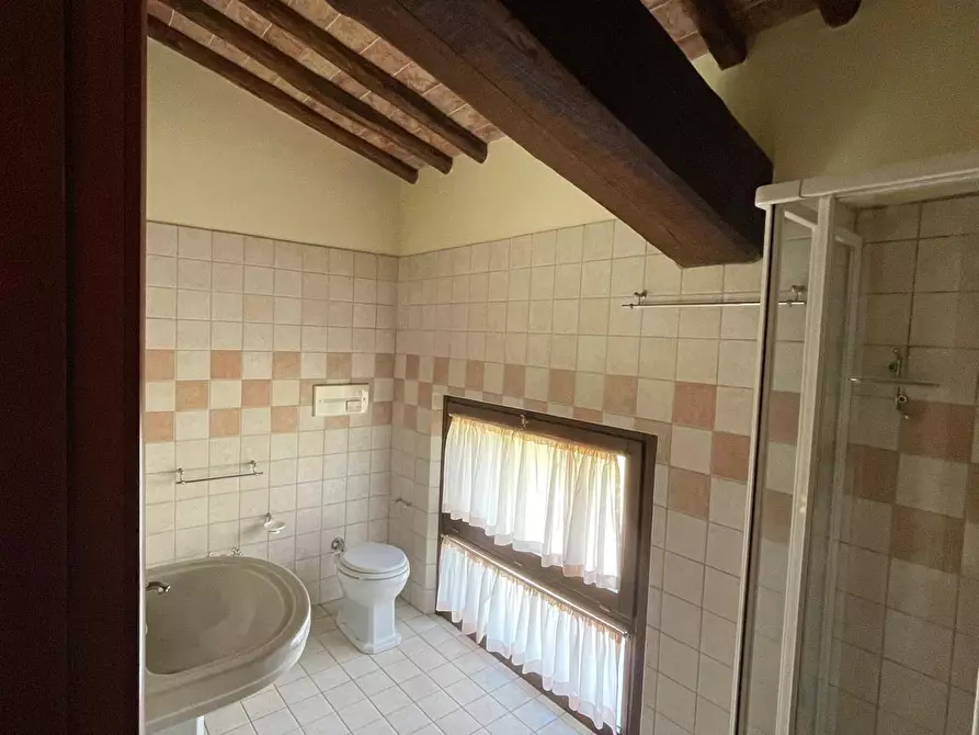 Immagine 19 di Rustico / casale in vendita  a Siena