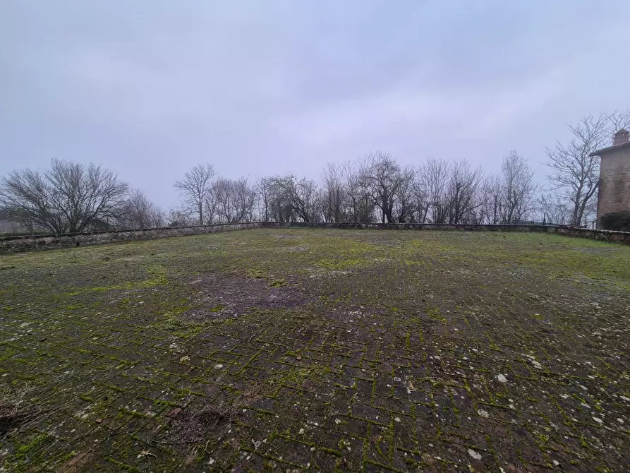 Immagine 49 di Rustico / casale in vendita  a Siena