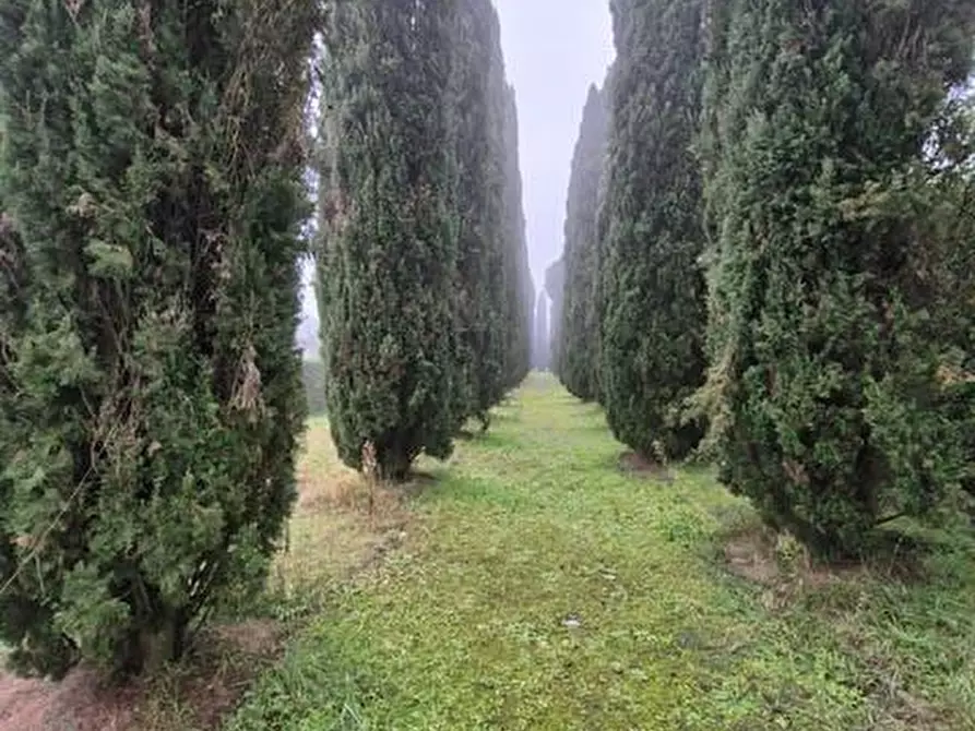 Immagine 24 di Rustico / casale in vendita  a Siena