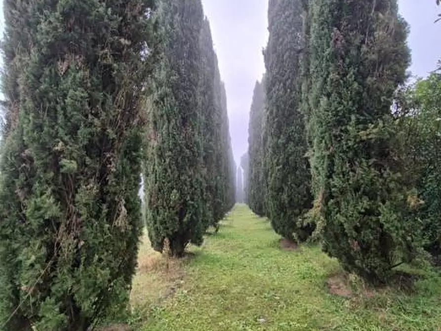 Immagine 28 di Rustico / casale in vendita  a Siena