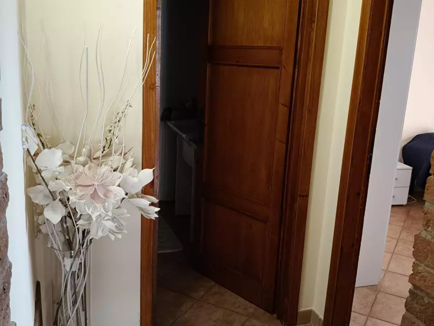 Immagine 16 di Appartamento in vendita  a Peccioli