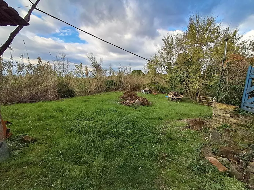 Immagine 31 di Rustico / casale in vendita  a Pontedera