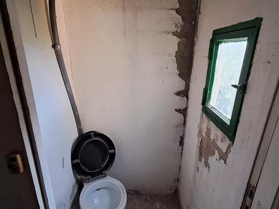 Immagine 44 di Rustico / casale in vendita  a Palaia