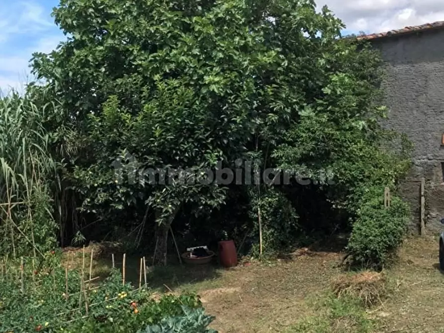 Immagine 36 di Rustico / casale in vendita  a Pontedera