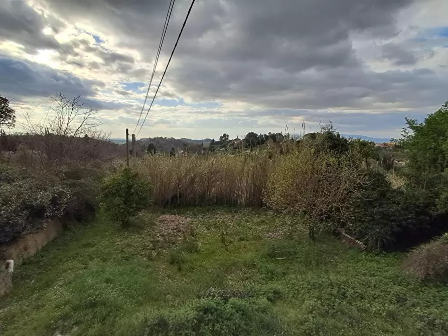 Immagine 32 di Rustico / casale in vendita  a Pontedera