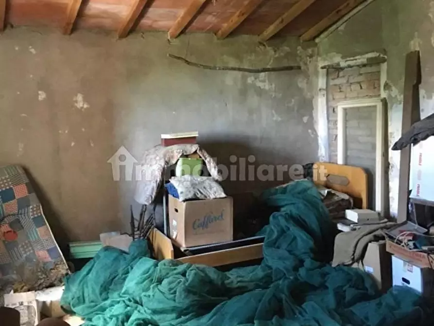 Immagine 40 di Rustico / casale in vendita  a Palaia